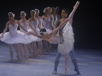 Dancers rehearse a fragment of the work Swan Lake at the Palace of Fine Arts in Mexico City, on November 8, 2024. The choreographic version...