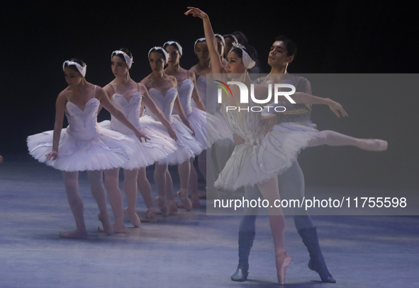 Dancers rehearse a fragment of the work Swan Lake at the Palace of Fine Arts in Mexico City, on November 8, 2024. The choreographic version...