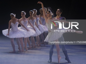 Dancers rehearse a fragment of the work Swan Lake at the Palace of Fine Arts in Mexico City, on November 8, 2024. The choreographic version...