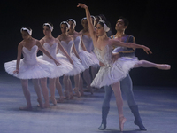 Dancers rehearse a fragment of the work Swan Lake at the Palace of Fine Arts in Mexico City, on November 8, 2024. The choreographic version...