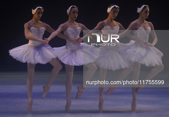 Dancers rehearse a fragment of the work Swan Lake at the Palace of Fine Arts in Mexico City, on November 8, 2024. The choreographic version...