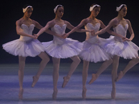 Dancers rehearse a fragment of the work Swan Lake at the Palace of Fine Arts in Mexico City, on November 8, 2024. The choreographic version...