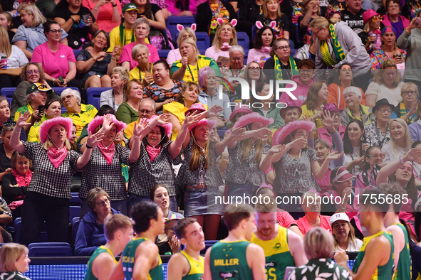 Fans cheer during the Fast5 Netball World Series match between Australia and South Africa at the Wolfbrook Arena in Christchurch, New Zealan...