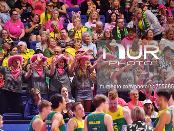 Fans cheer during the Fast5 Netball World Series match between Australia and South Africa at the Wolfbrook Arena in Christchurch, New Zealan...