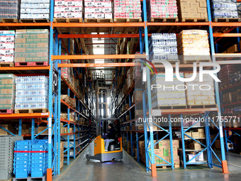 A staff member transfers goods at an e-commerce logistics warehouse in Lianyun district, Lianyungang, China, on November 9, 2024. (