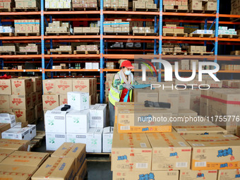 A staff member transfers goods at an e-commerce logistics warehouse in Lianyun district, Lianyungang, China, on November 9, 2024. (