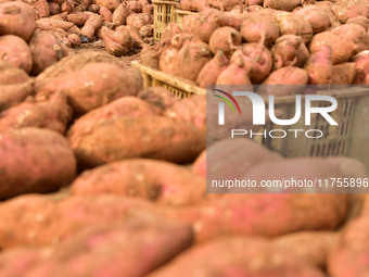 A farmer sorts high-quality sweet potatoes in Zaozhuang, China, on November 9, 2024. (