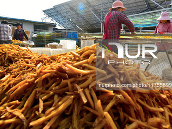 A farmer sorts dried sweet potatoes in Zaozhuang, China, on November 9, 2024. (