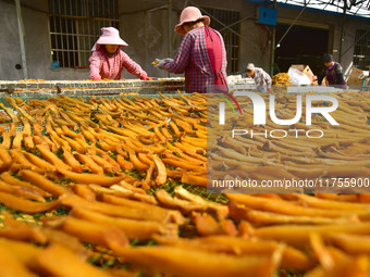 A farmer sorts dried sweet potatoes in Zaozhuang, China, on November 9, 2024. (