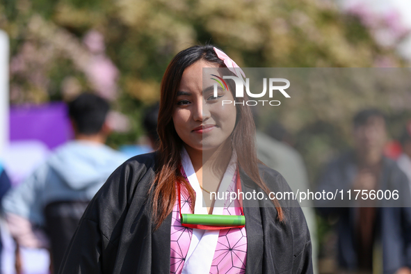 Nepali cosplayers attend the Otaku Jatra, an annual event organized in Kathmandu, Nepal, on November 9, 2024. Cosplay, a portmanteau of ''Co...