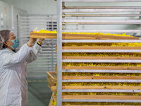 Farmers place golden chrysanthemum into the drying rack at a Chinese herbal medicine cultivation cooperative plant base in Hefei, China, on...