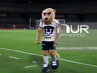 Goyo, the mascot of Pumas de la UNAM, appears before the first leg quarter-final match of the Apertura 2024 of the Liga BBVA MX Femenil, bet...