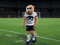 Goyo, the mascot of Pumas de la UNAM, appears before the first leg quarter-final match of the Apertura 2024 of the Liga BBVA MX Femenil, bet...