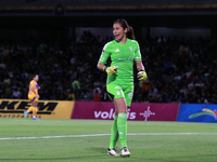 Goalkeeper Aurora Santiago #1 of Tigres Femenil is seen during the match corresponding to the quarterfinals, first leg of the Apertura 2024...