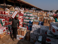 Labourers load apple boxes onto trucks, which are sent to different parts of the country from Asia's second-largest fruit mandi in Sopore, J...