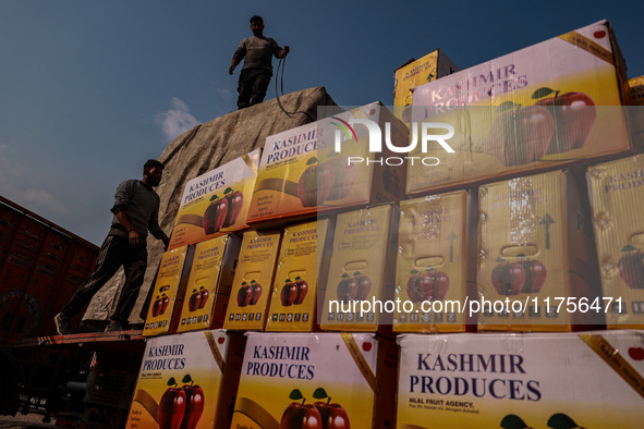 Labourers load apple boxes onto trucks, which are sent to different parts of the country from Asia's second-largest fruit mandi in Sopore, J...