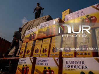 Labourers load apple boxes onto trucks, which are sent to different parts of the country from Asia's second-largest fruit mandi in Sopore, J...