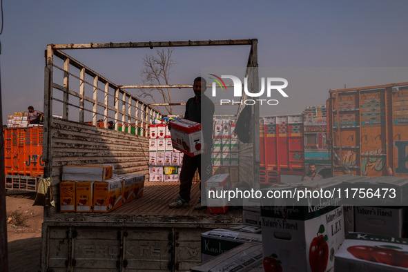 Labourers load apple boxes onto trucks, which are sent to different parts of the country from Asia's second-largest fruit mandi in Sopore, J...