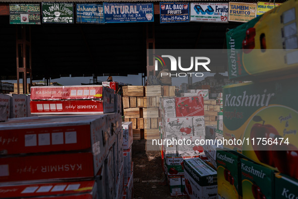 Labourers load apple boxes onto trucks, which are sent to different parts of the country from Asia's second-largest fruit mandi in Sopore, J...