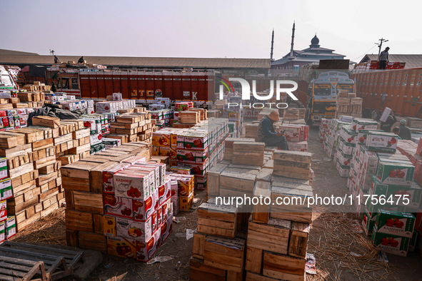 Labourers load apple boxes onto trucks, which are sent to different parts of the country from Asia's second-largest fruit mandi in Sopore, J...