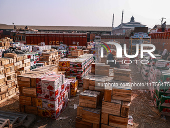 Labourers load apple boxes onto trucks, which are sent to different parts of the country from Asia's second-largest fruit mandi in Sopore, J...