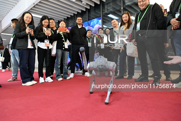 Visitors watch a robot dog perform in front of the Zhejiang Pavilion of the 7th China International Import Expo in Shanghai, China, on Novem...