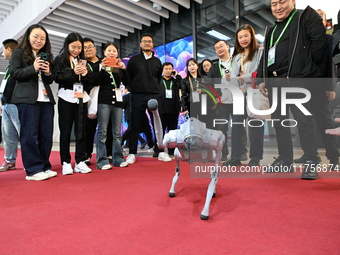 Visitors watch a robot dog perform in front of the Zhejiang Pavilion of the 7th China International Import Expo in Shanghai, China, on Novem...