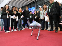 Visitors watch a robot dog perform in front of the Zhejiang Pavilion of the 7th China International Import Expo in Shanghai, China, on Novem...