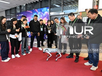 Visitors watch a robot dog perform in front of the Zhejiang Pavilion of the 7th China International Import Expo in Shanghai, China, on Novem...