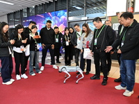 Visitors watch a robot dog perform in front of the Zhejiang Pavilion of the 7th China International Import Expo in Shanghai, China, on Novem...