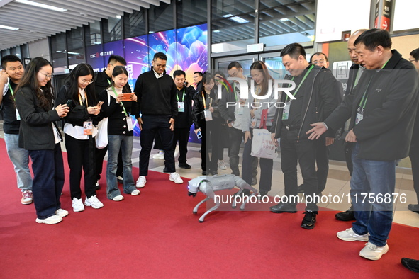 Visitors watch a robot dog perform in front of the Zhejiang Pavilion of the 7th China International Import Expo in Shanghai, China, on Novem...