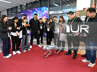 Visitors watch a robot dog perform in front of the Zhejiang Pavilion of the 7th China International Import Expo in Shanghai, China, on Novem...