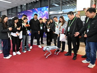 Visitors watch a robot dog perform in front of the Zhejiang Pavilion of the 7th China International Import Expo in Shanghai, China, on Novem...