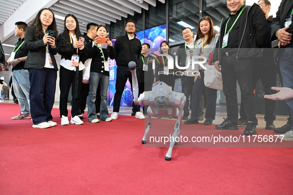 Visitors watch a robot dog perform in front of the Zhejiang Pavilion of the 7th China International Import Expo in Shanghai, China, on Novem...