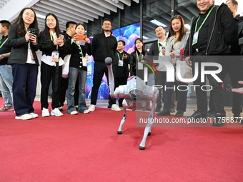 Visitors watch a robot dog perform in front of the Zhejiang Pavilion of the 7th China International Import Expo in Shanghai, China, on Novem...