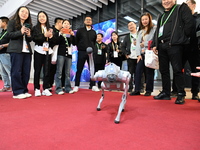 Visitors watch a robot dog perform in front of the Zhejiang Pavilion of the 7th China International Import Expo in Shanghai, China, on Novem...