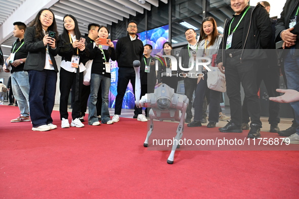 Visitors watch a robot dog perform in front of the Zhejiang Pavilion of the 7th China International Import Expo in Shanghai, China, on Novem...