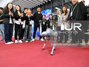 Visitors watch a robot dog perform in front of the Zhejiang Pavilion of the 7th China International Import Expo in Shanghai, China, on Novem...