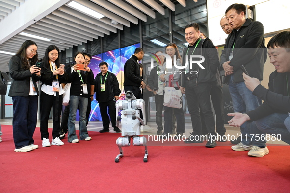 Visitors watch a robot dog perform in front of the Zhejiang Pavilion of the 7th China International Import Expo in Shanghai, China, on Novem...