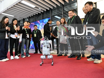 Visitors watch a robot dog perform in front of the Zhejiang Pavilion of the 7th China International Import Expo in Shanghai, China, on Novem...