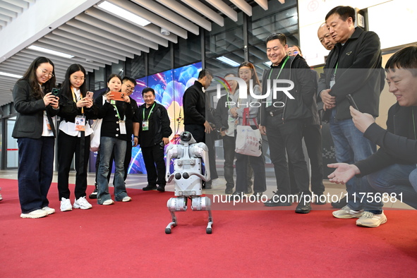 Visitors watch a robot dog perform in front of the Zhejiang Pavilion of the 7th China International Import Expo in Shanghai, China, on Novem...