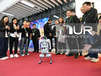 Visitors watch a robot dog perform in front of the Zhejiang Pavilion of the 7th China International Import Expo in Shanghai, China, on Novem...