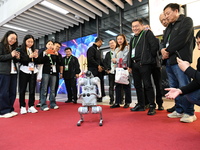 Visitors watch a robot dog perform in front of the Zhejiang Pavilion of the 7th China International Import Expo in Shanghai, China, on Novem...