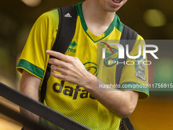 A Norwich City supporter shirt is displayed before the Sky Bet Championship match between Norwich City and Bristol City at Carrow Road in No...