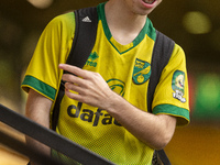 A Norwich City supporter shirt is displayed before the Sky Bet Championship match between Norwich City and Bristol City at Carrow Road in No...