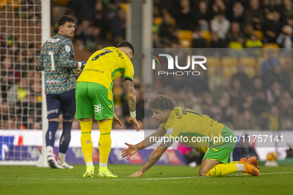 Emiliano Marcondes of Norwich City is helped up by Borja Sainz of Norwich City during the Sky Bet Championship match between Norwich City an...