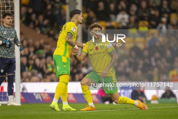 Emiliano Marcondes of Norwich City is helped up by Borja Sainz of Norwich City during the Sky Bet Championship match between Norwich City an...