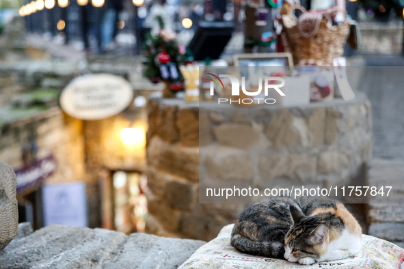 A cat sleeps in an Old Town of Baku, Azerbaijan on November 9, 2024. 