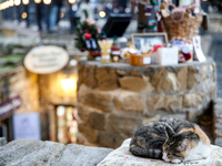 A cat sleeps in an Old Town of Baku, Azerbaijan on November 9, 2024. (