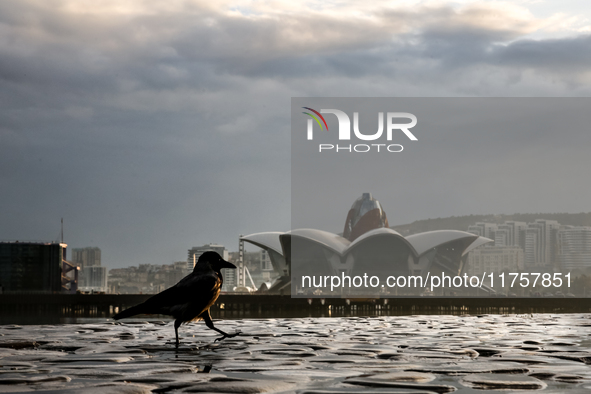 A bird walks on Caspian Sea Boulevard in Baku in front of landmark architecture, Azerbaijan on November 9, 2024. 